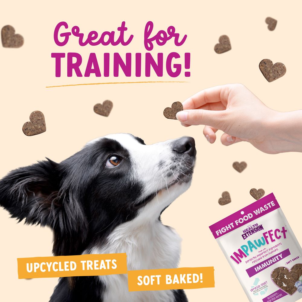 Health Extension Impawfect Blueberry and Chia Seeds Immune Support Soft and Chewy Dog Treats - 4.5 Oz