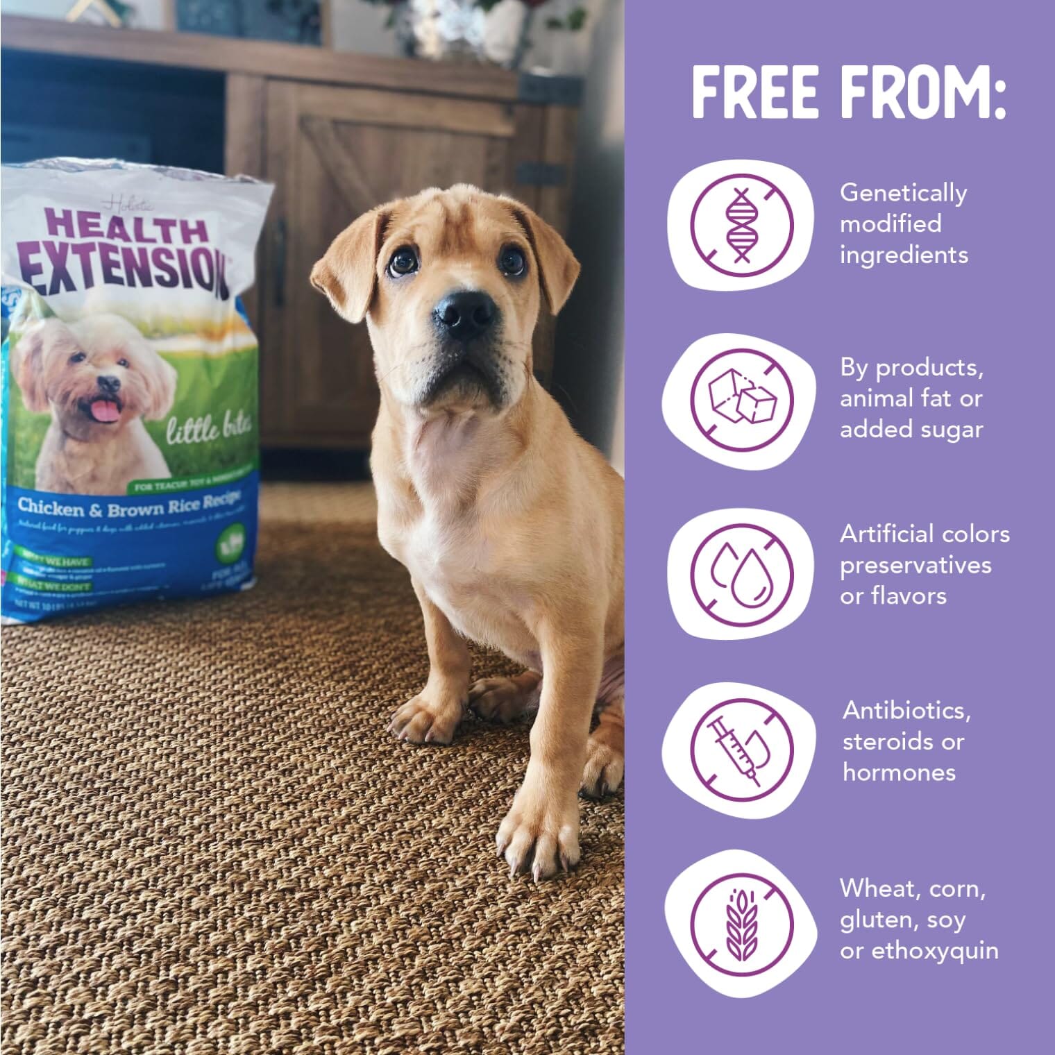 Health Extension Little Bites Chicken and Brown Rice Dry Dog Food  