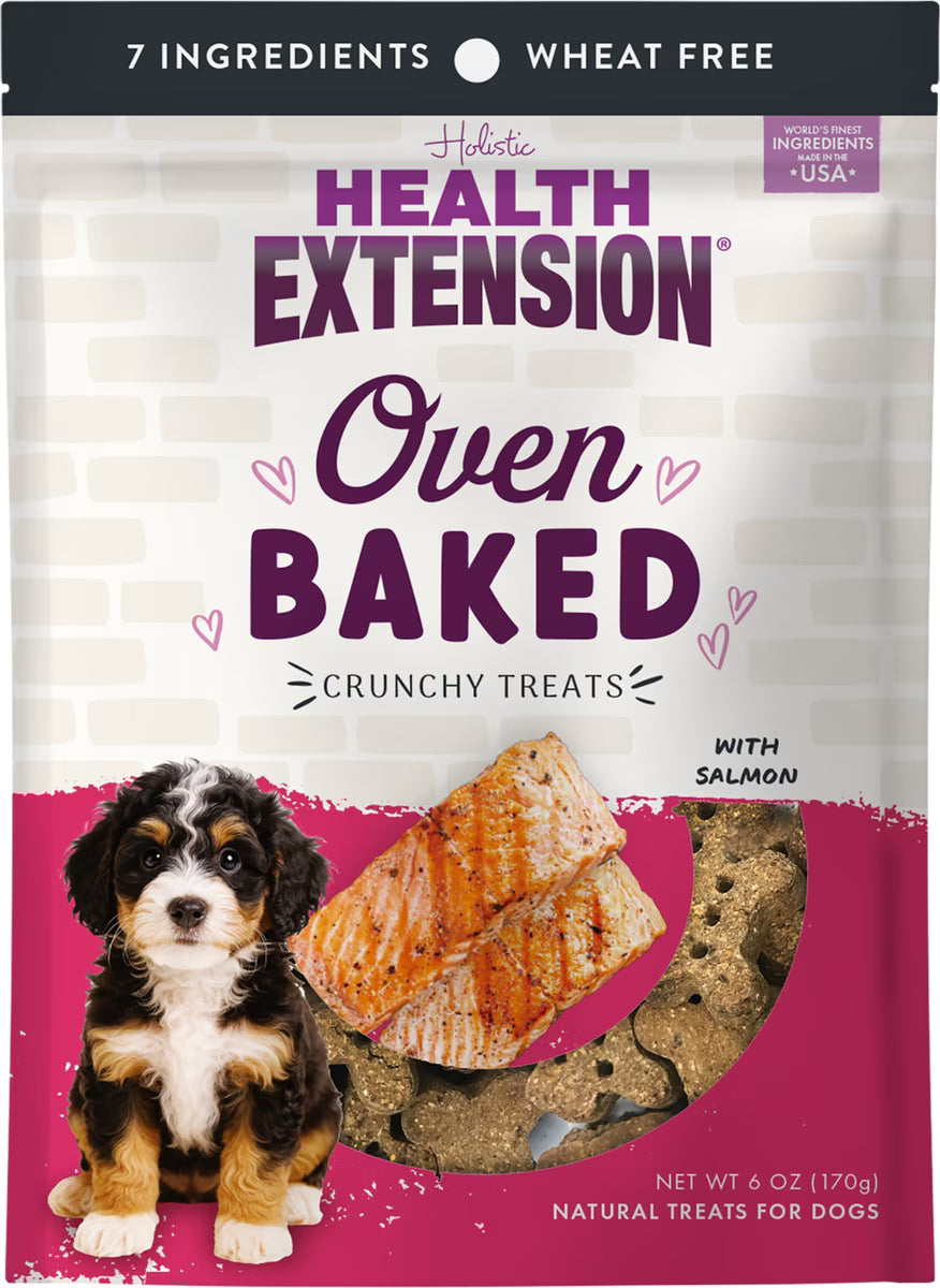 Health Extension Oven Baked Dog Treats Salmon with Kale