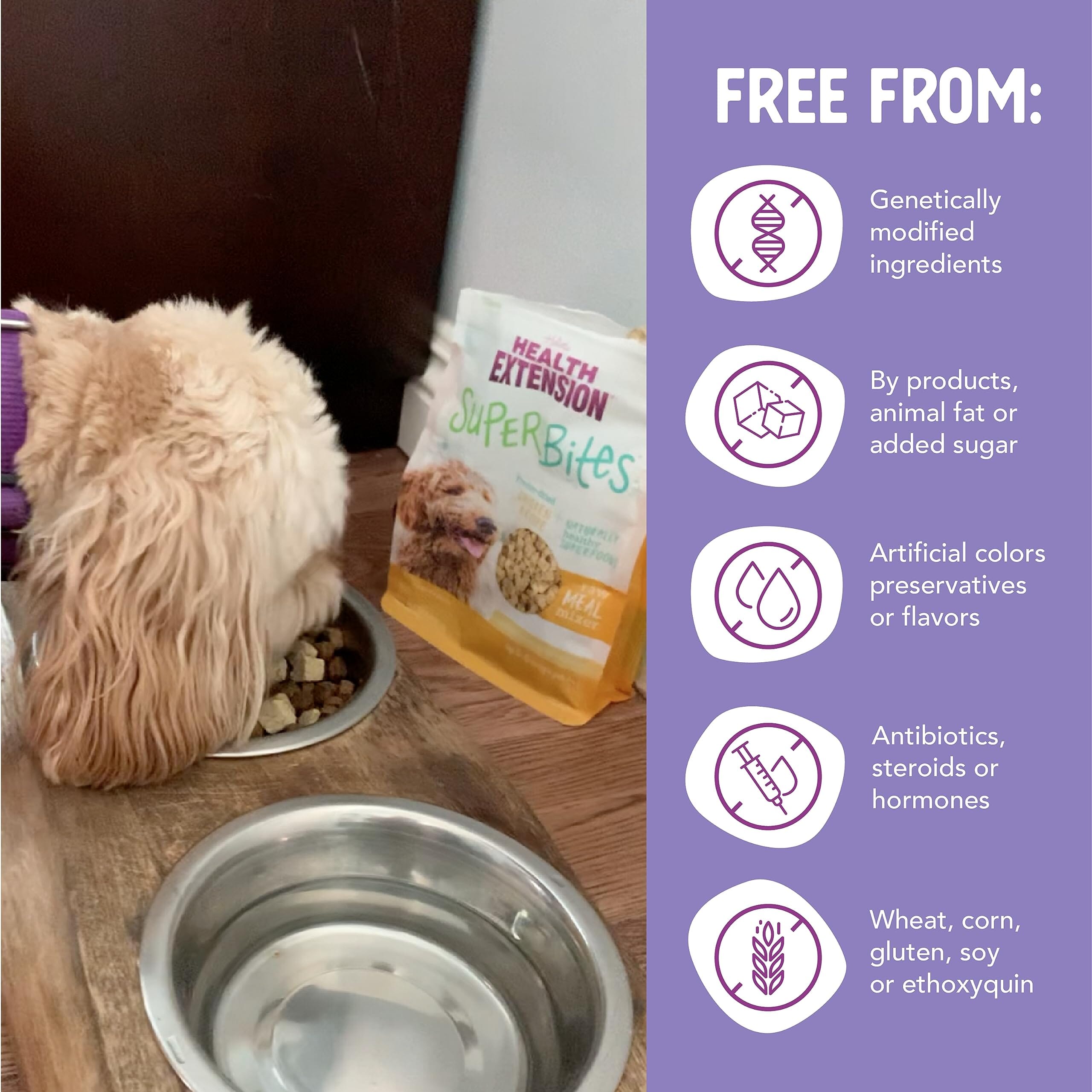 Health Extension Super Bites Grain-Free Chicken Meal Freeze-Dried Dog Food Toppers - 3.5 Oz  