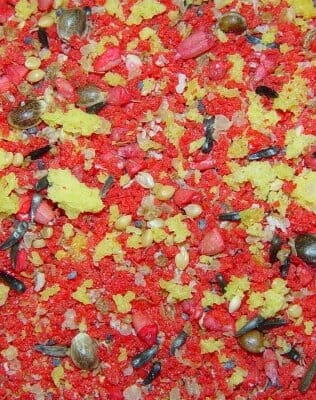 Higgins Sunburst Gourmet Proteen Red Bird Treats - 20 Lbs