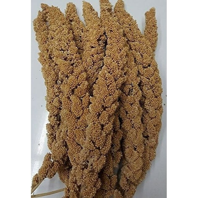 Higgins Sunshine Spray Millet Domestic and Wild Bird Treats - 12 Count Default Title