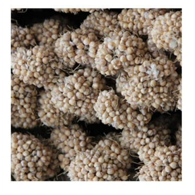 Higgins Sunshine Spray Millet Domestic and Wild Bird Treats - 25 Lbs Box Default Title