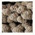 Higgins Sunshine Spray Millet Domestic and Wild Bird Treats - 25 Lbs Box Default Title