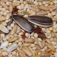 Higgins Supreme Blend Non-Fortified Cockatiel Finch Bird Food - 50 Lbs Default Title