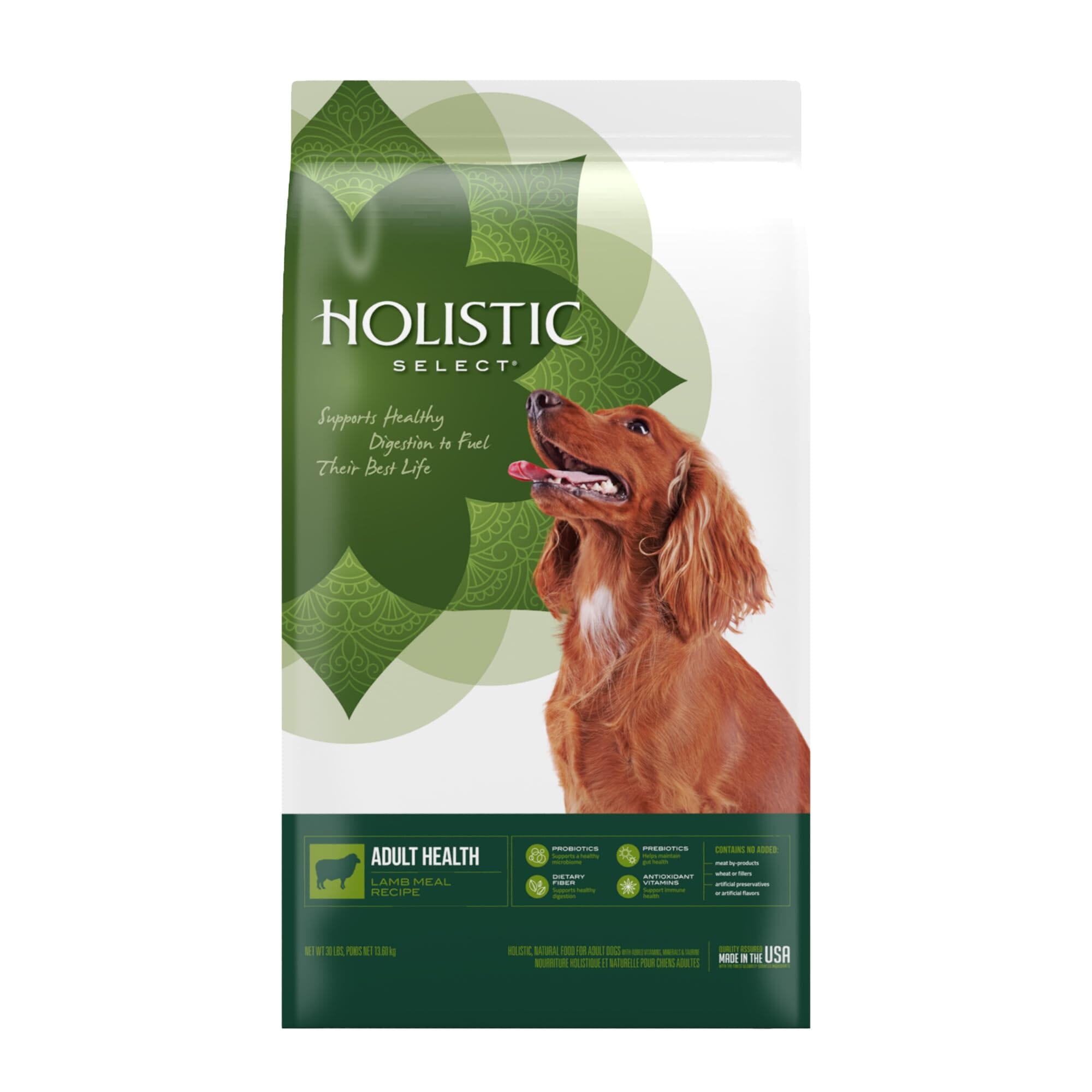 Holistic Select Natural Adult Health Lamb Meal Recipe Dry Dog Food  