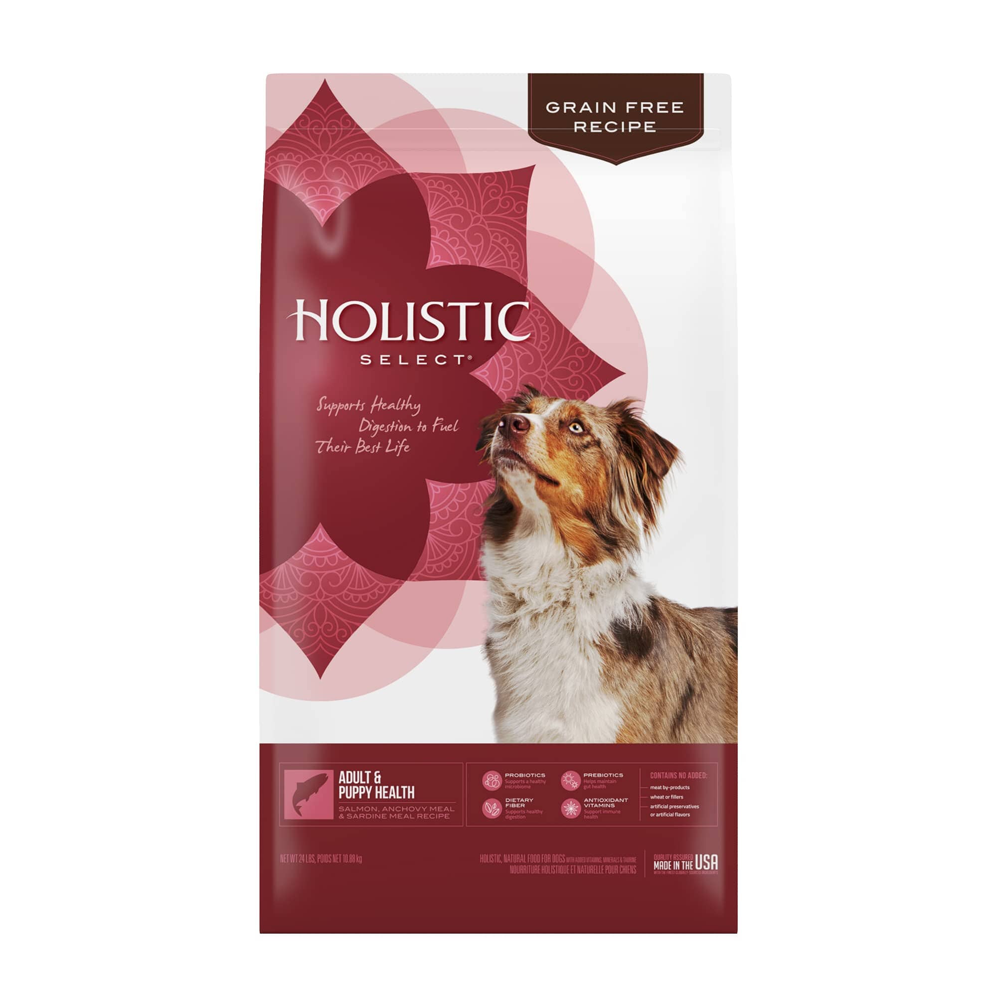 Holistic Select Natural Adult & Puppy Health Salmon, Anchovy, and Sardine Meal Recipe Dry Dog Food  