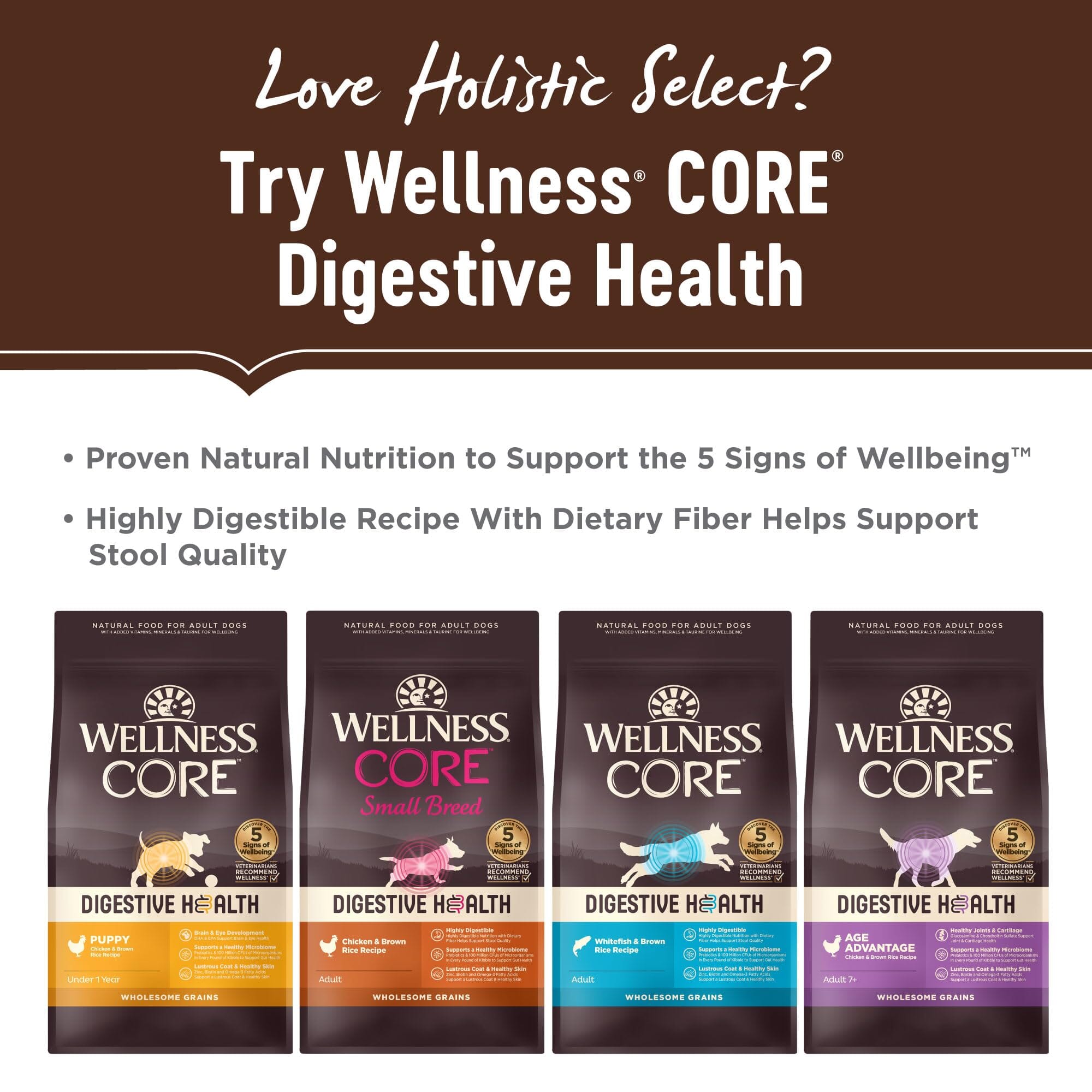 Holistic Select Natural Adult & Puppy Health Salmon, Anchovy, and Sardine Meal Recipe Dry Dog Food  