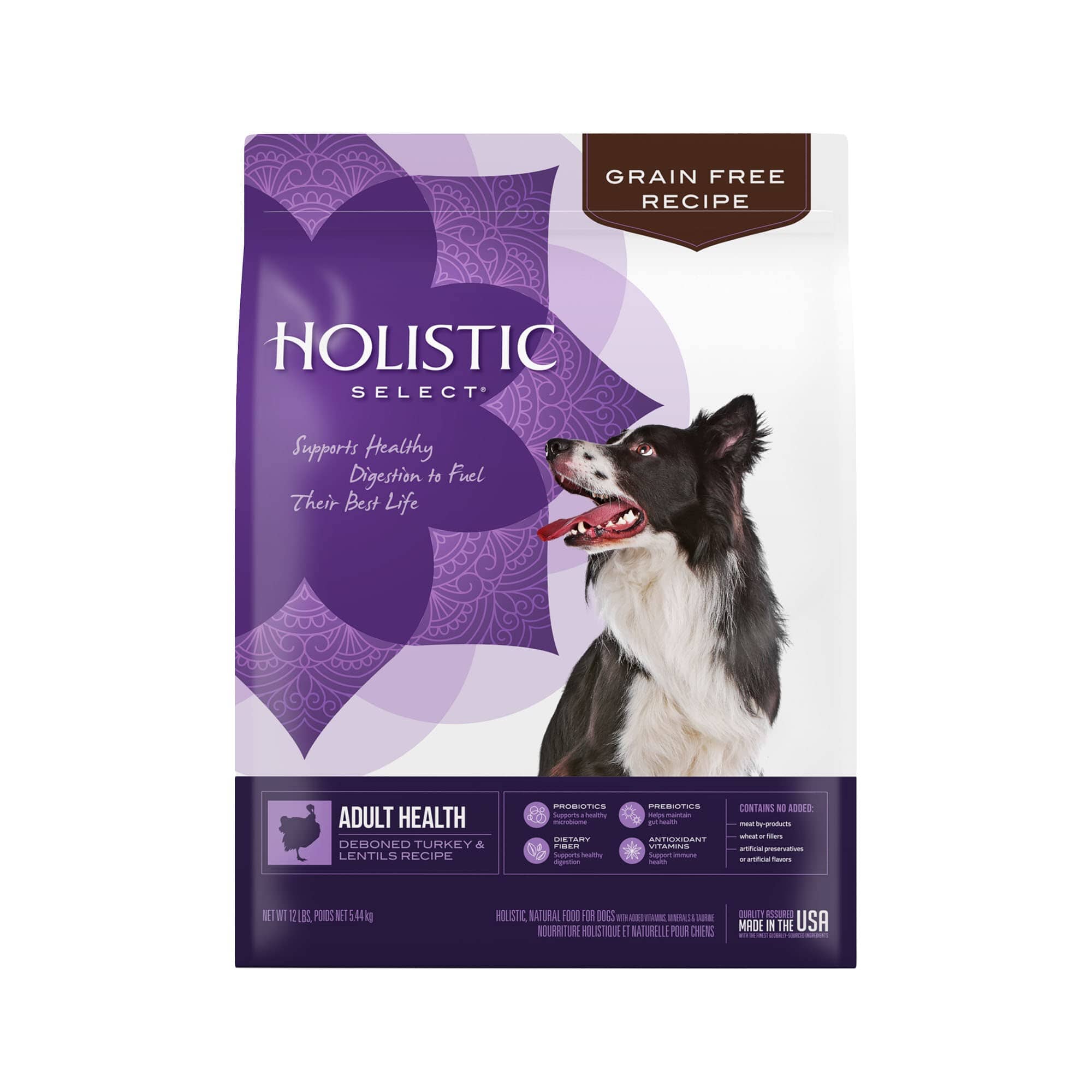 Holistic Select Natural Grain Free Adult Health Deboned Turkey and Lentils Dry Dog Food  