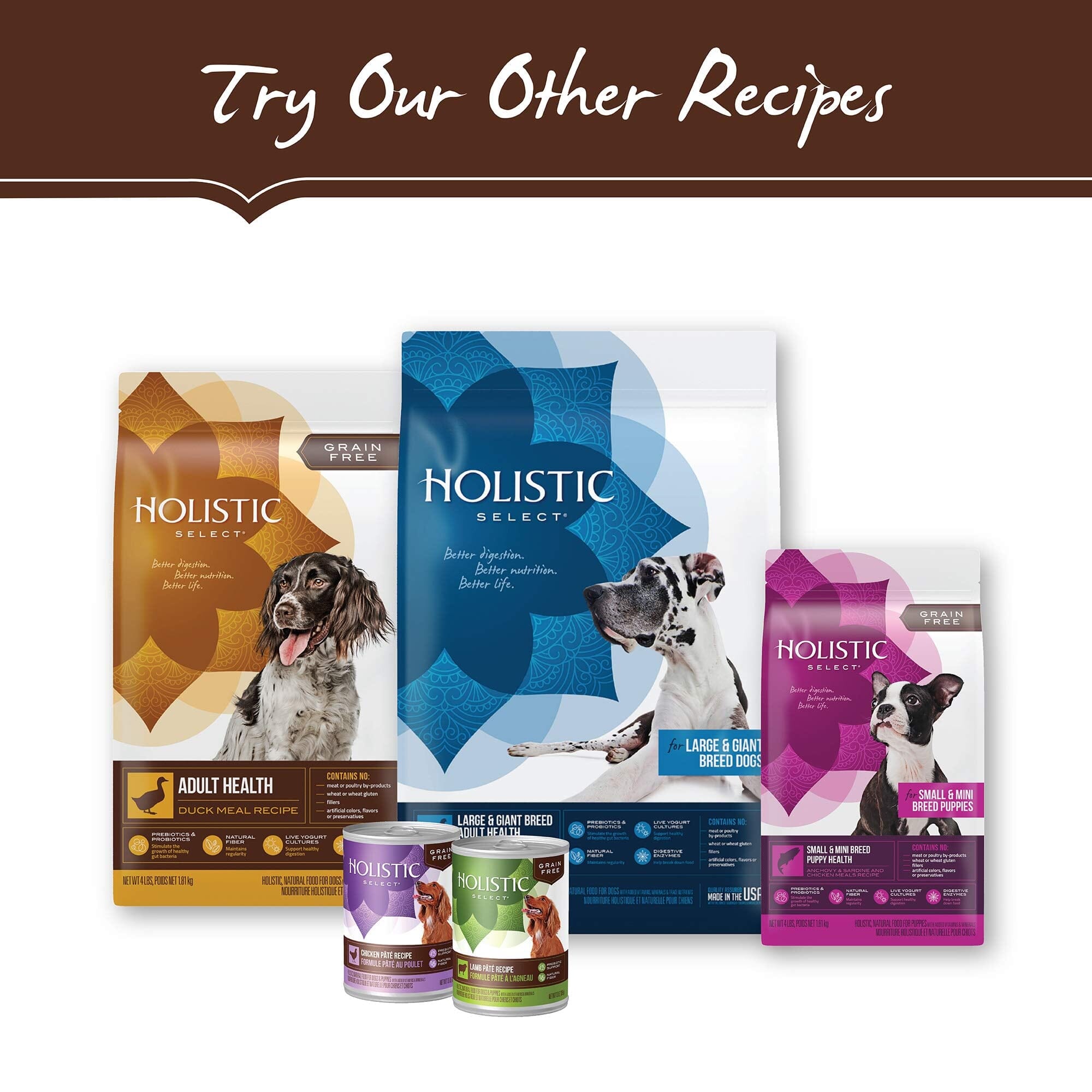 Holistic Select Natural Grain Free Duck Meal Dry Dog Food  