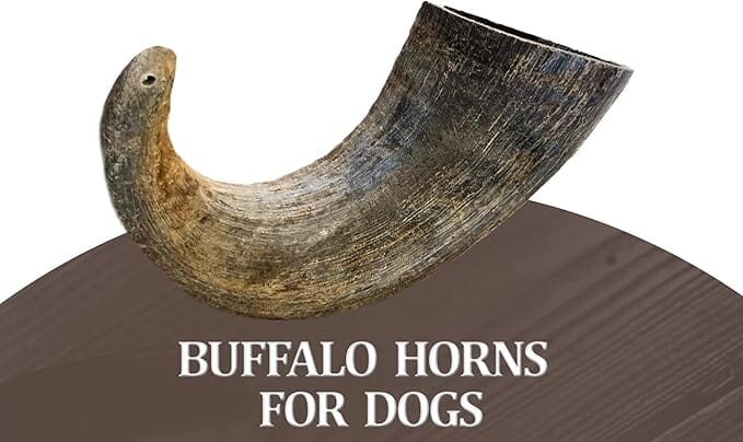 Home Range Water Buffalo Horn Natural Dog Chews - Large -  Case of 20  