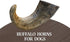 Home Range Water Buffalo Horn Natural Dog Chews - Large -  Case of 20  