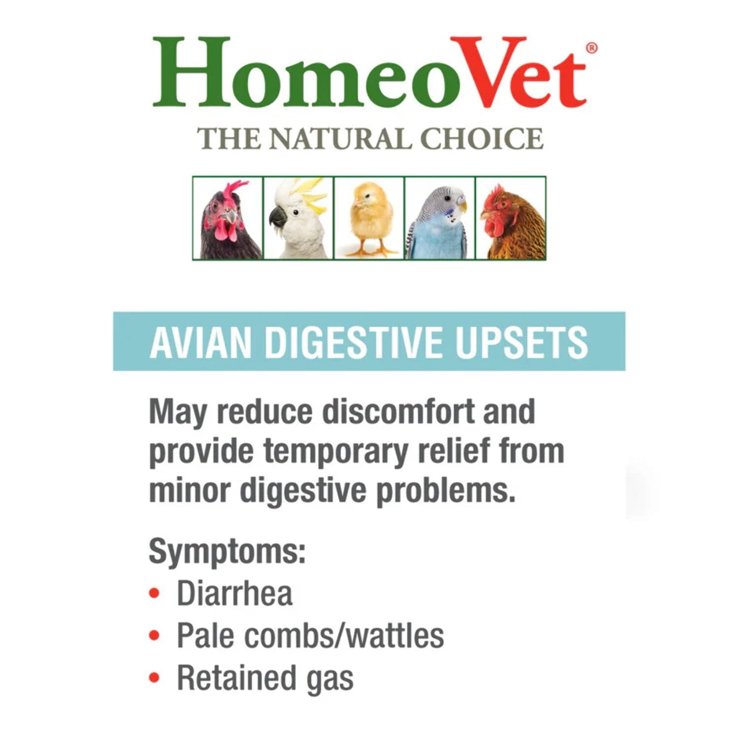 HomeoPet HomeoVet Avian Digestive Upsets Liquid Drop Poultry and Bird Supplements - 15ML