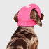 Canada Pooch Chill Seaker We Reveal Cooling Dog Bandana