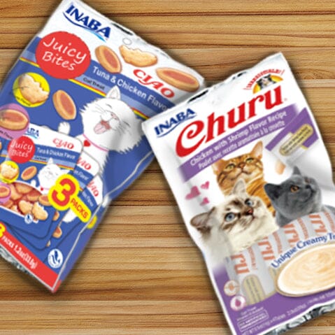 Inaba Churu Puree Cat Treats - Chicken and Shrimp - .5 Oz - 4 Pack - Case of 6