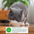 Inaba Dashi Delights Tuna Variety in Broth Wet Cat Food Tray - Variety Pack - 2.5 Oz - Case of 12 - 8 Pack  