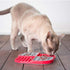 Innovative Pet Lickimat Slowmo Combo Slow Feeding Mat for Dogs - Red  