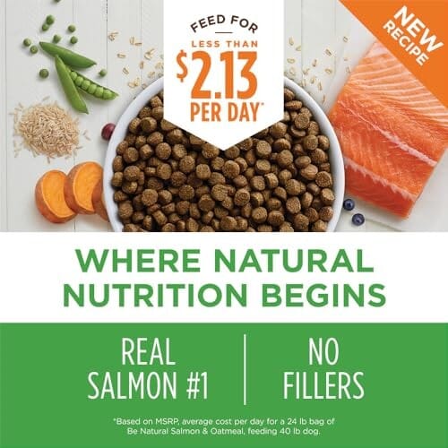 Instinct Be Natural Salmon and Brown Rice with Vitamins and Minerals Dry Dog Food - 4.5 Lbs