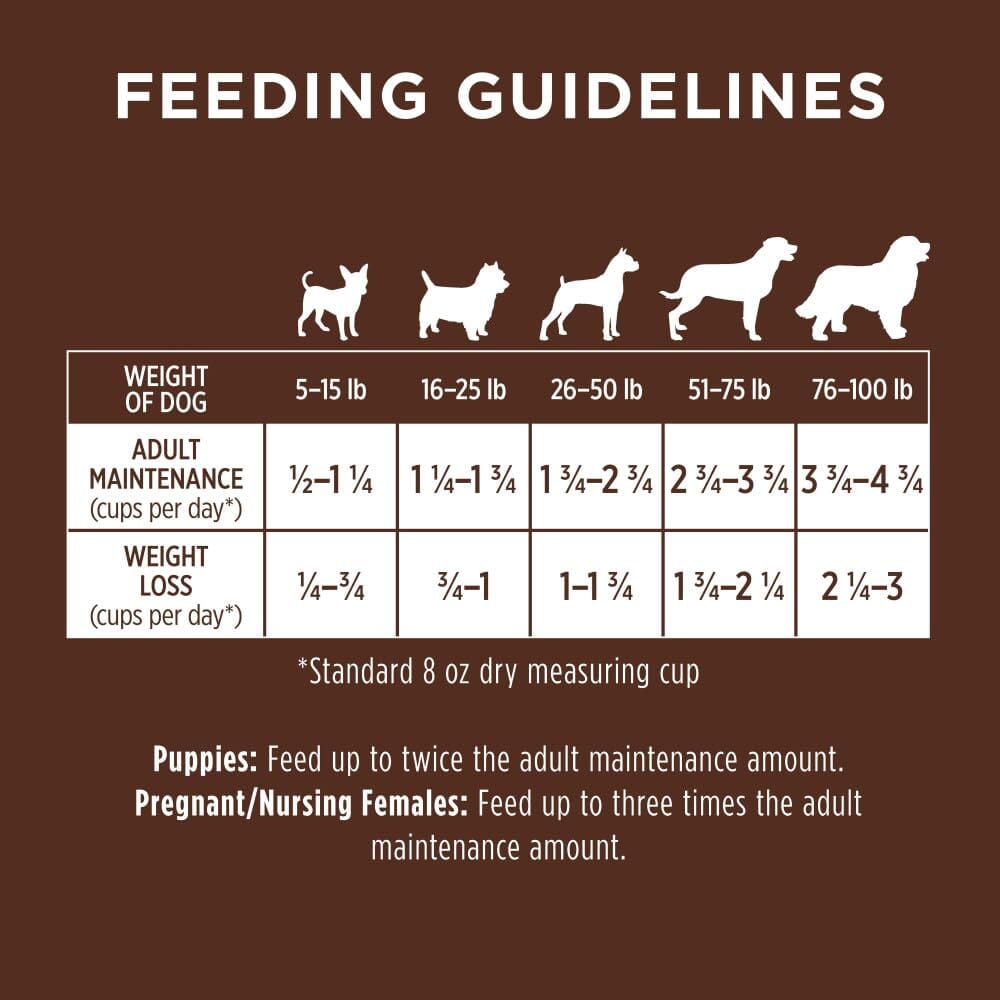 Instinct Be Natural Salmon & Brown Rice Recipe Dry Dog Food  