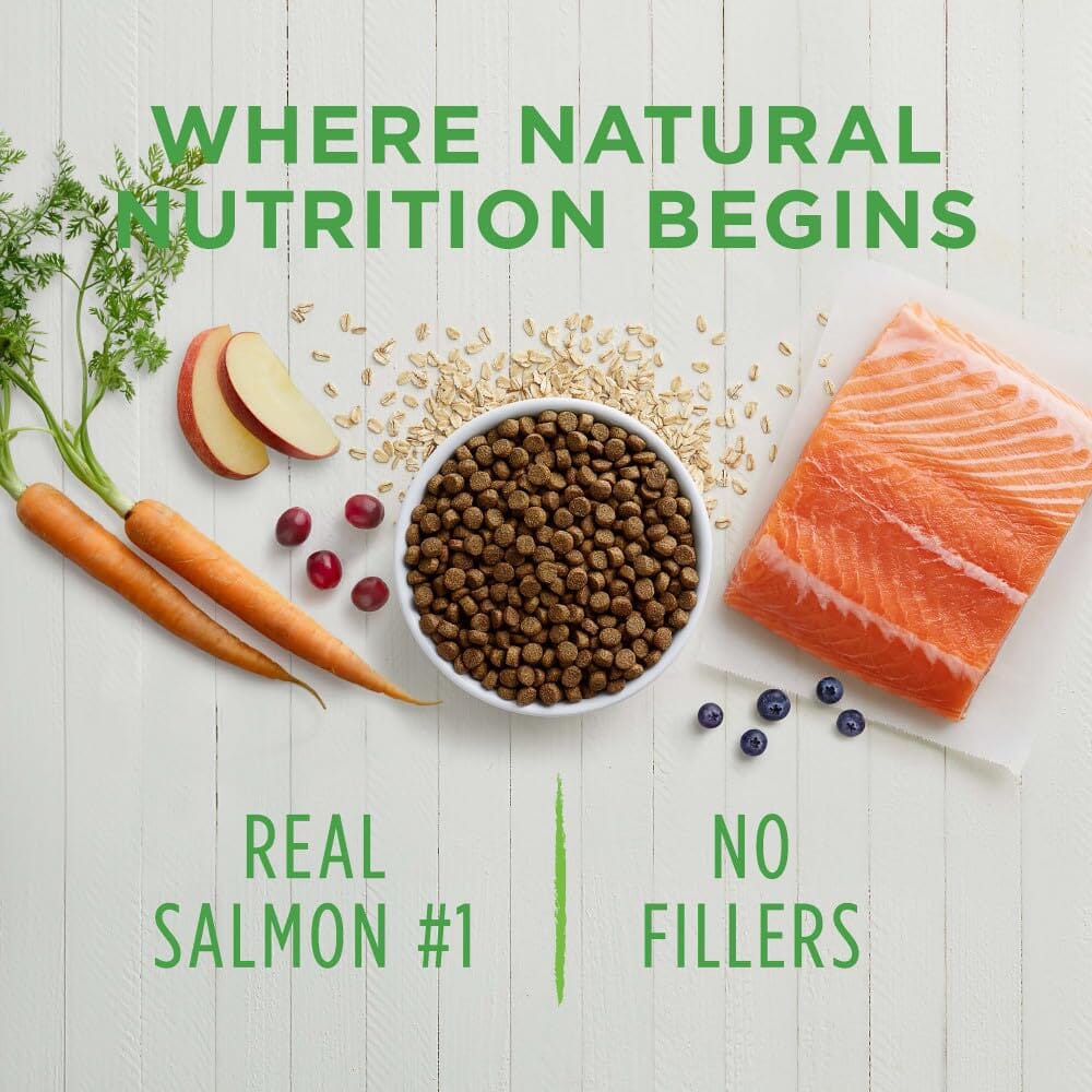 Instinct Be Natural Salmon & Brown Rice Recipe Dry Dog Food  