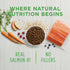 Instinct Be Natural Salmon & Brown Rice Recipe Dry Dog Food  