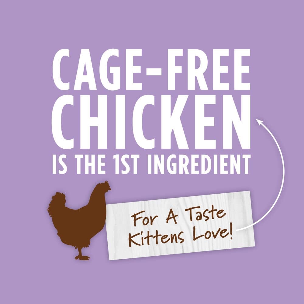 Instinct Kitten Grain Free Chicken Recipe Natural Canned Cat Food  