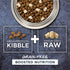 Instinct Raw Boost Grain Free Recipe with Real Chicken Natural Dry Dog Food  