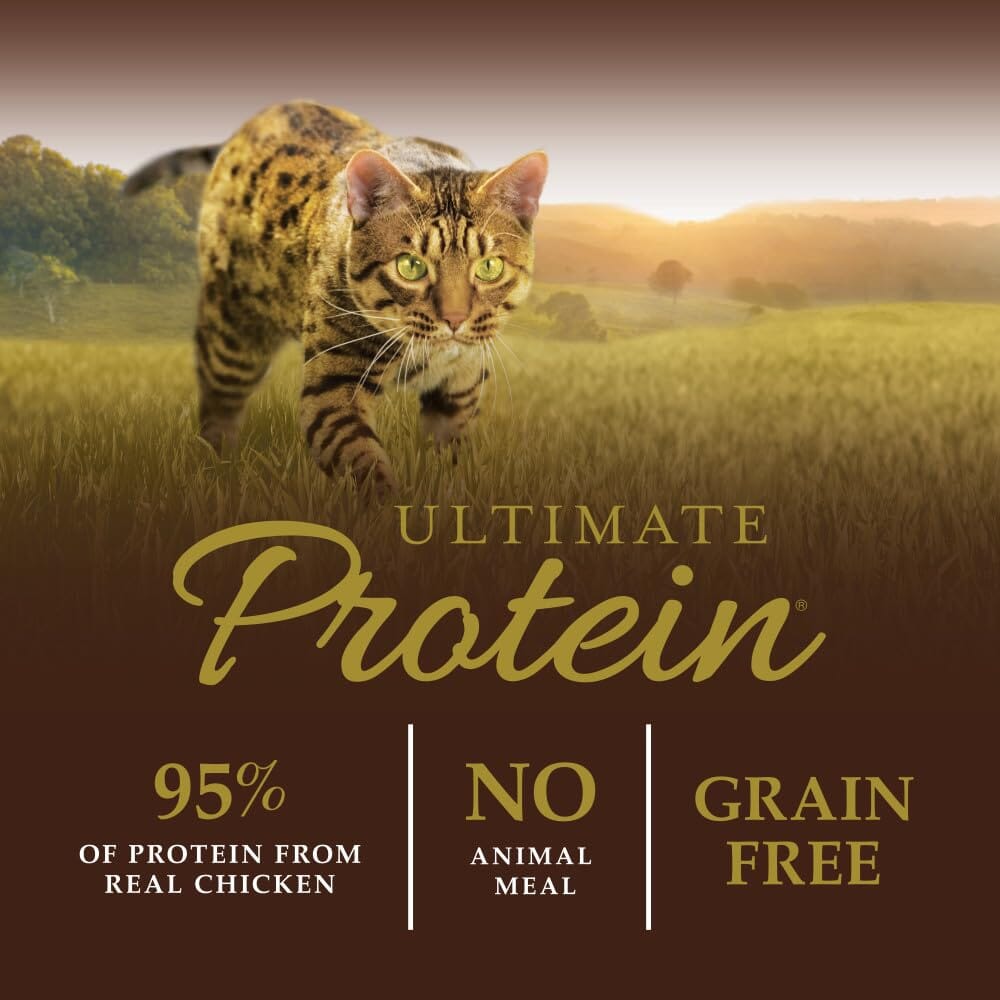 Instinct Ultimate Protein Adult Grain Free Cage Free Chicken Recipe Natural Dry Cat Food  