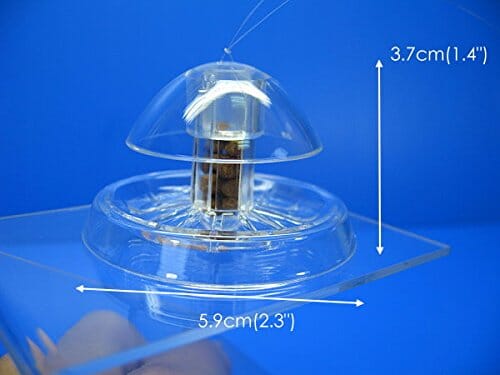 Ista Snail Trap