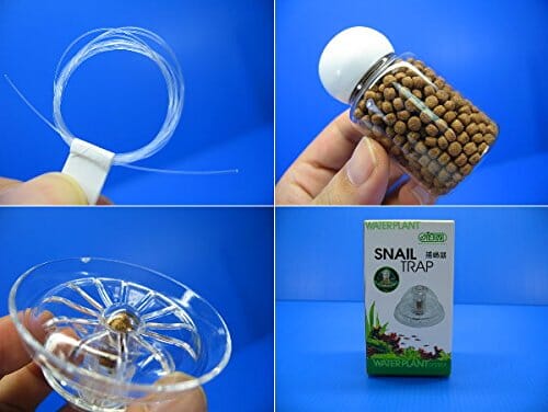 Ista Snail Trap