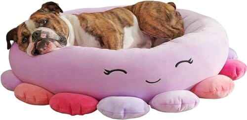 Jazzwares Squishmallows Beula Octopus Rounded Ultra-Soft Cat and Dog Bed - 30 Inch Default Title