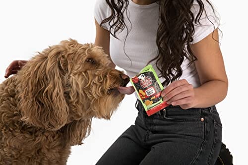 Jolly Pets Fill'n Treat Pumpkin and Peanut Butter Dog Treats Packet - 1 Oz - 10 Pack Default Title