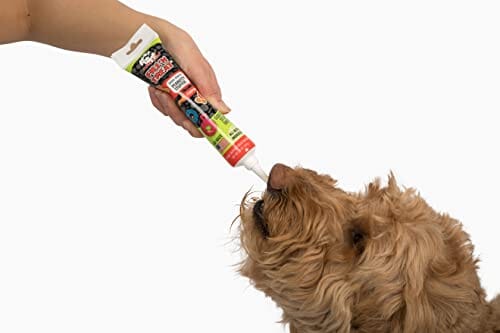 Jolly Pets Fill'n Treat Pumpkin and Peanut Butter Puree Dog Treats Tube - 5 Oz Default Title