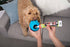 Jolly Pets Fill'n Treat Pumpkin and Peanut Butter Puree Dog Treats Tube - 5 Oz