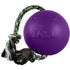 Jolly Pets Romp-N-Roll Puncture-Proof Ball with Rope Chew and Fetch Floating Dog Toy Purple Medium - 6 Inch