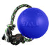 Jolly Pets Romp-N-Roll Puncture-Proof Ball with Rope Chew and Fetch Floating Dog Toy Blue Medium - 6 Inch