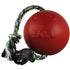 Jolly Pets Romp-N-Roll Puncture-Proof Ball with Rope Chew and Fetch Floating Dog Toy Red Large - 8 Inch