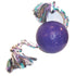 Jolly Pets Romp-N-Roll Puncture-Proof Ball with Rope Chew and Fetch Floating Dog Toy Purple Small - 4.5 Inch
