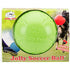 Jolly Pets Soccer Ball Puncture-Proof Chew and Fetch Floating Dog Toy Green Medium - 6 Inch