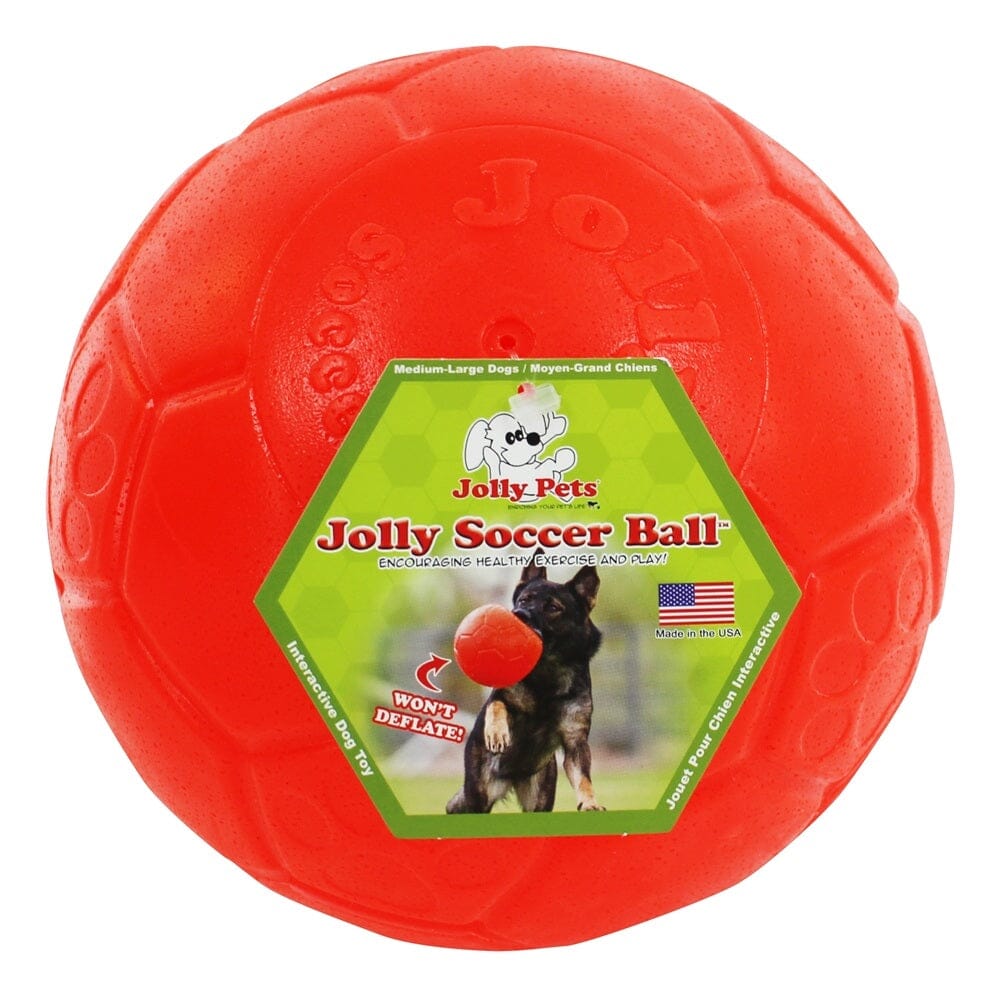 Jolly Pets Soccer Ball Puncture-Proof Chew and Fetch Floating Dog Toy Large - 8 Inch