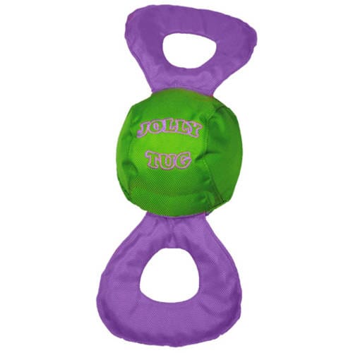 Jolly Pets Tug and Squeak Nylon Dog Toy - Green/Orange Medium