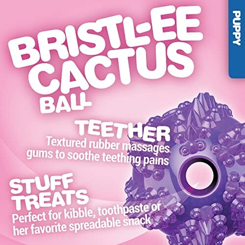 JW Pet BRISTL-EE Cactus Treat-Spreading Dental Ball Fetch Dog Toy Default Title