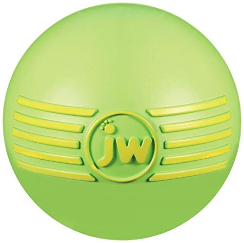 JW Pet iSqueak Ball Fetch Dog Toy - Large  