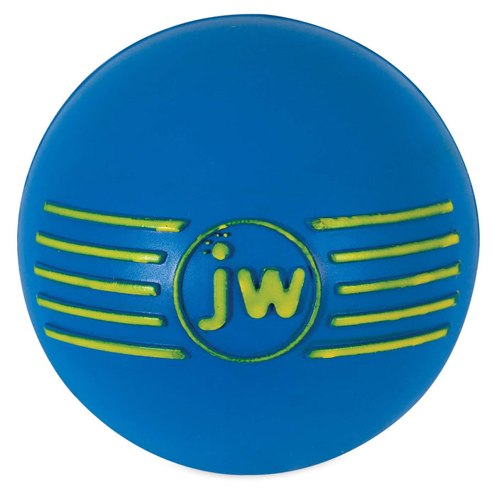 JW Pet iSqueak Ball Fetch Dog Toy - Medium