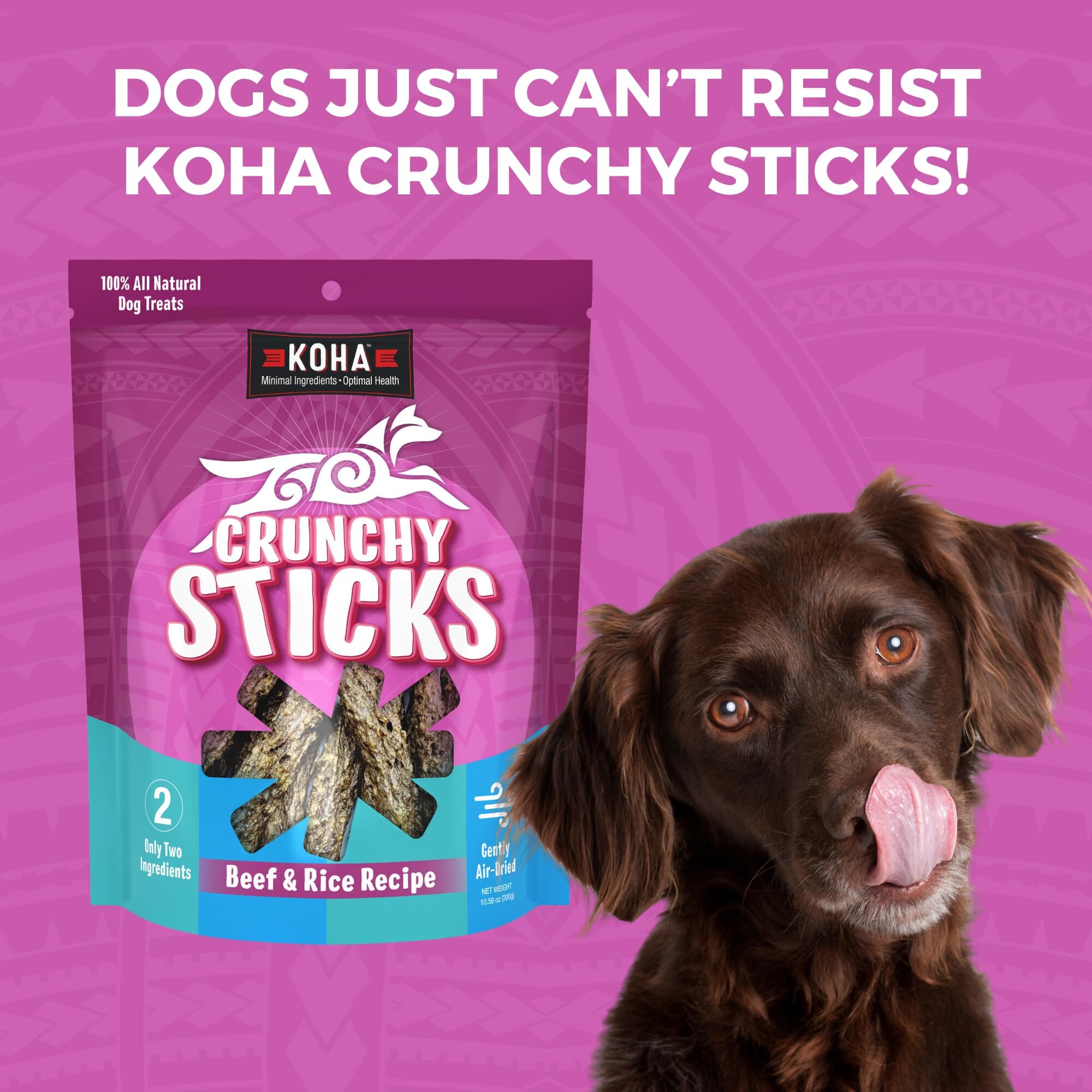 Koha Crunchy Sticks Limited Ingredient Sensitive Stomach Beef and Rice Crunchy Dog Treats - 10.58 Oz