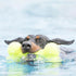 Kong AirDog Squeaker Bone Felt Dog Toy - Large  