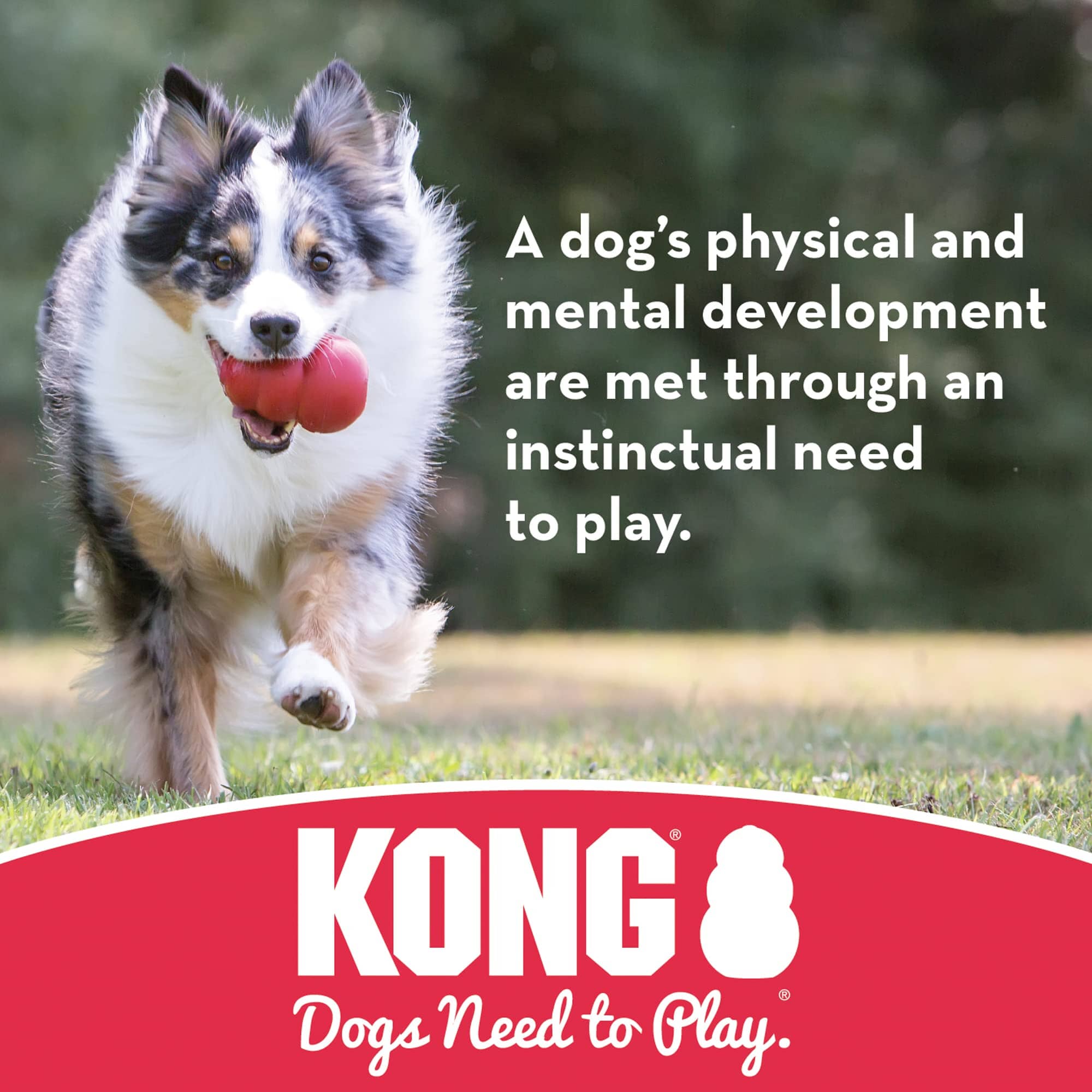 Kong Ball with Hole Durable Rubber Fetch and Squeak Dog Toy  