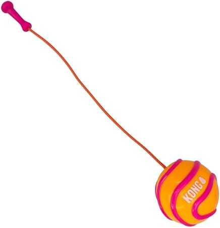 Kong Bunji High-Viz Bright and Glow-in-The-Dark Retriever Rubber Ball and Rope Dog Toy - Assorted Color