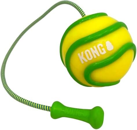 Kong Bunji High-Viz Bright and Glow-in-The-Dark Retriever Rubber Ball and Rope Dog Toy - Assorted Color