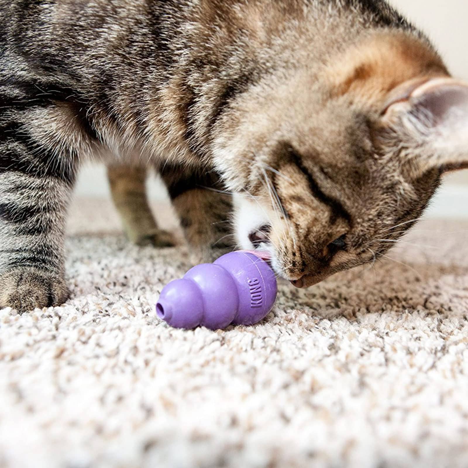 Kong Classic Kitty Treat Dispensing Rubber Cat Toy - Purple  